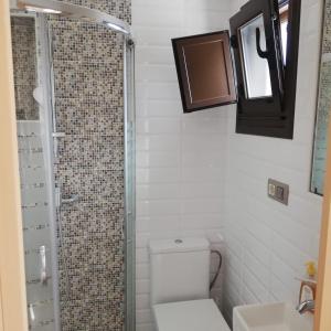 a bathroom with a shower and a toilet and a sink at A CASIÑA DA EIRAVELLA in Hio