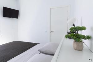 a white room with a bed and a plant at Aqua Vista Playa San Juan in Playa de San Juan