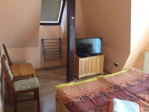 a bedroom with a bed and a flat screen tv at Apartments Yowan in Hévíz