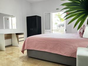 1 dormitorio con cama, escritorio y planta en Studio Home Away from Home en Caniçal