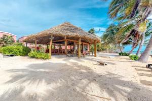 una cabaña en la playa con una palmera en Condo 26 at Caribe Island Gold Standard Certified, en San Pedro