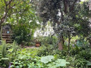 Vườn quanh Pleasant