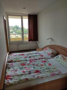 Postel nebo postele na pokoji v ubytování Appartement Braunlage/Hohegeiß mit Schwimmbad