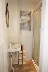 a small bathroom with a sink and a shower at The Cabin at Gabriel House in Ilfracombe