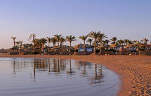 シャルム・エル・シェイクにあるAurora Oriental Resort Sharm El Sheikhのヤシの木と水の家々が生えるビーチ