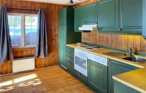 a kitchen with green cabinets and a sink at 3 Bedroom Cozy Home In yer in Øyer