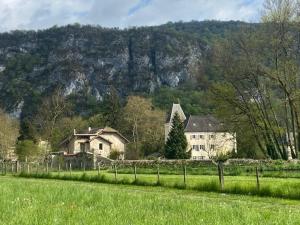 a house in a field in front of a mountain at Au Château Saint Blaise in Virignin