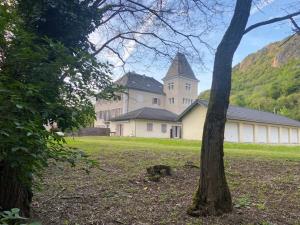 a large white building with a tree in a field at Au Château Saint Blaise in Virignin