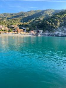 a large body of water with a town and a beach at Affittacamere Benvenuti Monterosso in Monterosso al Mare