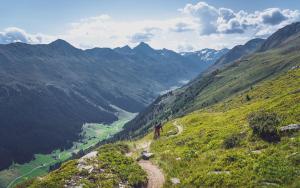 a person walking on a path on a mountain at Hotel Ochsen 2 by Mountain Hotels in Davos