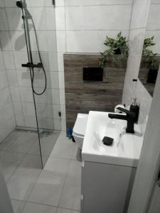 a bathroom with a sink and a shower and a toilet at Pokoje do wynajęcia in Tomaszów Mazowiecki