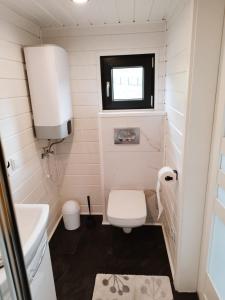 a small bathroom with a toilet and a sink at Gospodarstwo Agroturystyczne Sunny Camp in Jerzmanowice