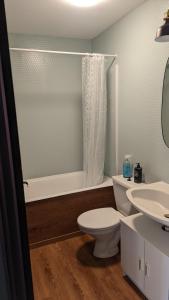 La salle de bains est pourvue de toilettes, d'une baignoire et d'un lavabo. dans l'établissement Appartement Lamoura, à Lamoura