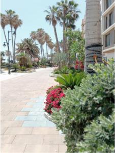 Vonkajšia záhrada v ubytovaní Beach side Apartment -Estepona