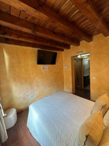 een slaapkamer met een bed en een tv aan de muur bij Hostal segovia adults only in Segovia