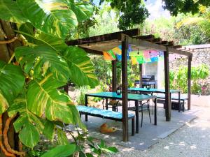 Zahrada ubytování CAMP AKUMAL - Hosted Family Bungalows