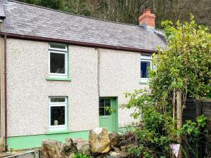 a white house with a green door and windows at Snowdrop Cottage in Fishguard