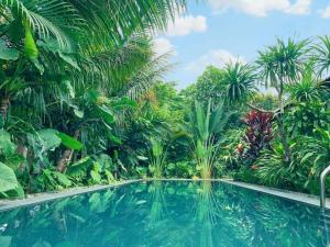 宁平Nhà Lúa Homestay的棕榈树热带森林中的游泳池