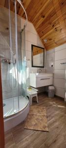 a bathroom with a shower and a sink and a tub at Kama Pobierowo in Pobierowo +113 photos