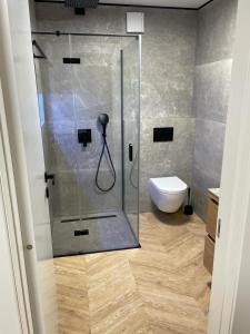 a shower stall in a bathroom with a toilet at APPARTMENTS SARA in Jadranovo