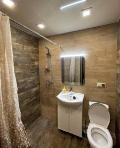 a bathroom with a toilet and a sink and a shower at Avchieva's apartment on Orbeli Brothers Street in Yerevan