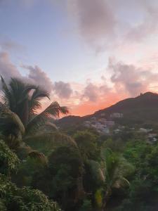 a group of palm trees on a hill with a sunset at Mountain Apartments in Anse Etoile