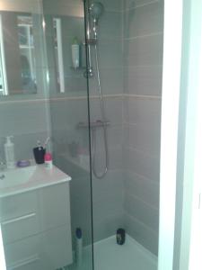 een douche met een glazen deur naast een wastafel bij Studio Heliopolis Naturiste in Cap d'Agde