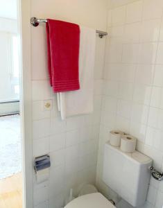 a bathroom with a red towel hanging above a toilet at Kleine Wohnung im Zentrum Bern nähe Marzili in Bern