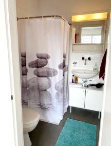 e bagno con tenda per la doccia, servizi igienici e lavandino. di Kleine Wohnung im Zentrum Bern nähe Marzili a Berna