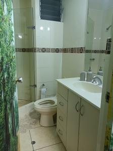 uma casa de banho com um WC, um lavatório e um espelho. em Miraflores View em Lima