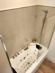a bathroom with a shower with a tub at Agréable studio du Coderc avec balnéo in Périgueux