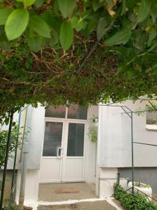 una porta bianca di un edificio con un albero di Cazare Medias, apartament modern a Mediaş
