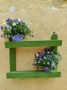 Gallery image of Host4All casa vacanze in Falconara Marittima