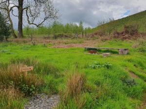 Calon Y Goedwig Glamping外面的花园