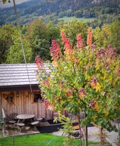 a tree with red flowers in front of a cabin at Chalet trappeur in Le Biot