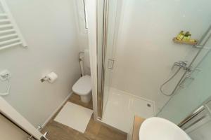 a white bathroom with a shower and a toilet at Holiday Home Artina 1 in Lovište +38 photos