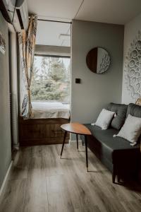 - un salon avec un canapé et une fenêtre dans l'établissement Woodbox Istebna, à Istebna
