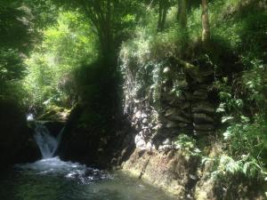 einem Wasserfall inmitten eines Waldes in der Unterkunft Le Gîte du Rocher - Auzat in Auzat