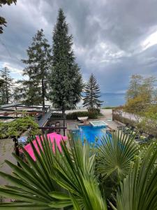een zwembad in een tuin met bomen bij Villa Dionis in Ohrid