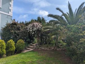 a garden with a palm tree and some bushes at Villa Marina in Torquay