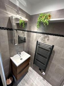 un baño con lavabo y espejo en Bienvenue au Quai 27, en Épernay 14 fotos más