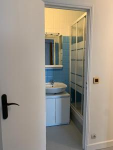 uma casa de banho com um lavatório e um chuveiro em Studio perfect for 2 adults and 1 kid, and up to 2 kids - Jourdain 20e, 25mn to Louvre via line M11 em Paris