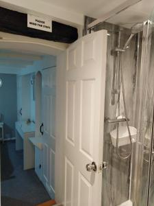 a bathroom with a shower and a white door at The Cuddy - Apartment with garden in Brixham