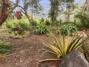 Zahrada ubytování Romántico refugio en la montaña