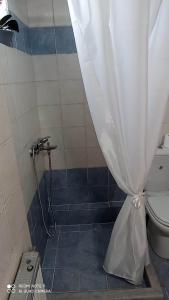 y baño con ducha, aseo y cortina de ducha. en House Sofia Loutsa Prevezas, en Loutsa