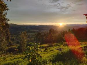 vistas a la puesta de sol desde una colina con árboles en Posada Campestre Macadamia en Paipa