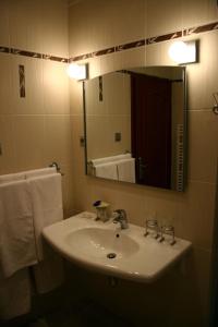 bagno con lavandino, specchio e asciugamani di Zlaty Lev a Louny Altre 7 foto