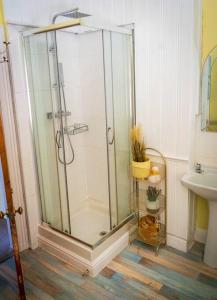 a shower stall in a bathroom with a sink at Cae Glas in Penmaen-mawr