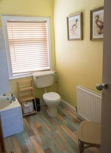 a bathroom with a toilet and a sink and a window at Cae Glas in Penmaen-mawr