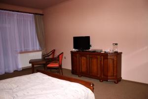 a bedroom with a bed and a tv and a chair at Zlaty Lev in Louny